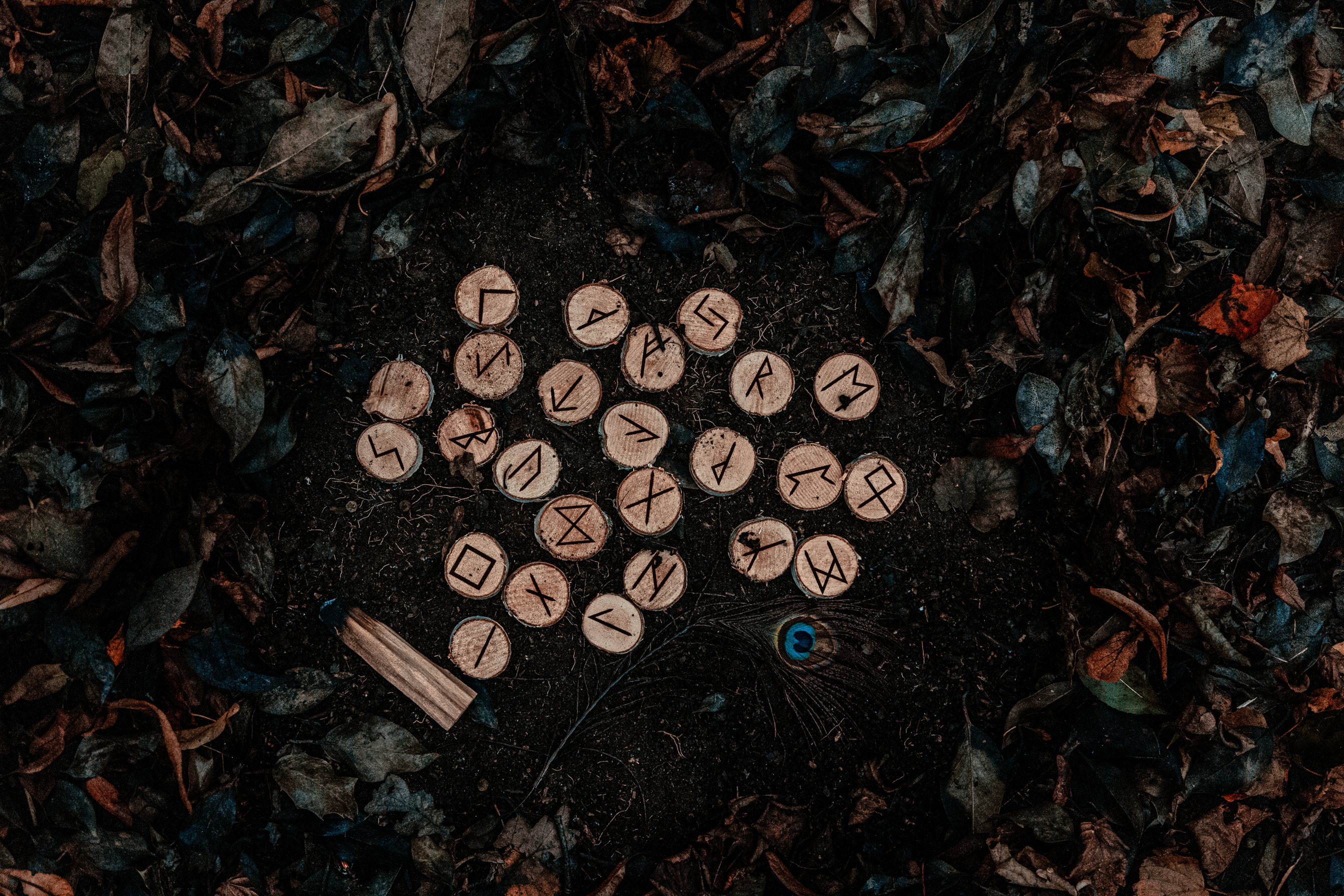 Runic Letters on Wood Chunks and Ground with Autumn Leaves 